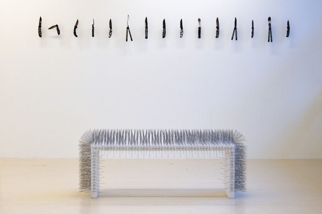 Jussi Lipastin esineteokset Cover ja Control ovat poikkeuksellisia tämän hetken installaatiotaiteessa: tehokkaan selkeästi ideaansa pelkistettyjä. Teema-ajatuksia kehkeytyy lintujen ja kontrollin yhdistelmistä: vapaus, väkivalta, luonto vastaan kaupunki. NYTT 2023 -näyttely.