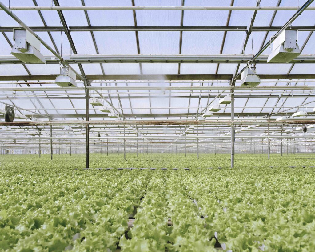 Joosep Kivimäen kuvainstallaatio Yltäkylläisyyden ohjelmoiminen, 2022, näytti ruoan teollisen tuotannon osuuden konkreettisessa arjessamme ja kertoi siitäkin, että kolmasosa maailman ruoantuotannosta joutuu yhä jätteeksi. (Osa teoksesta)