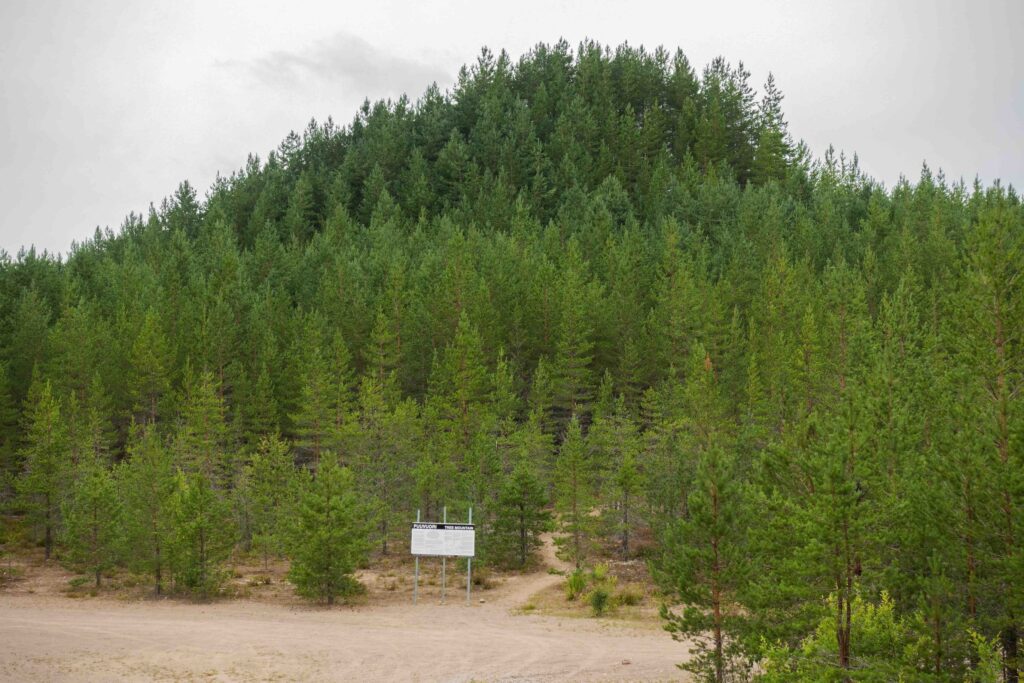 Ylöjärvi kunnostaa Agnes Denesin Puuvuorta käyttöbudjetin puitteissa, vuodessa muutamalla tuhannella eurolla.