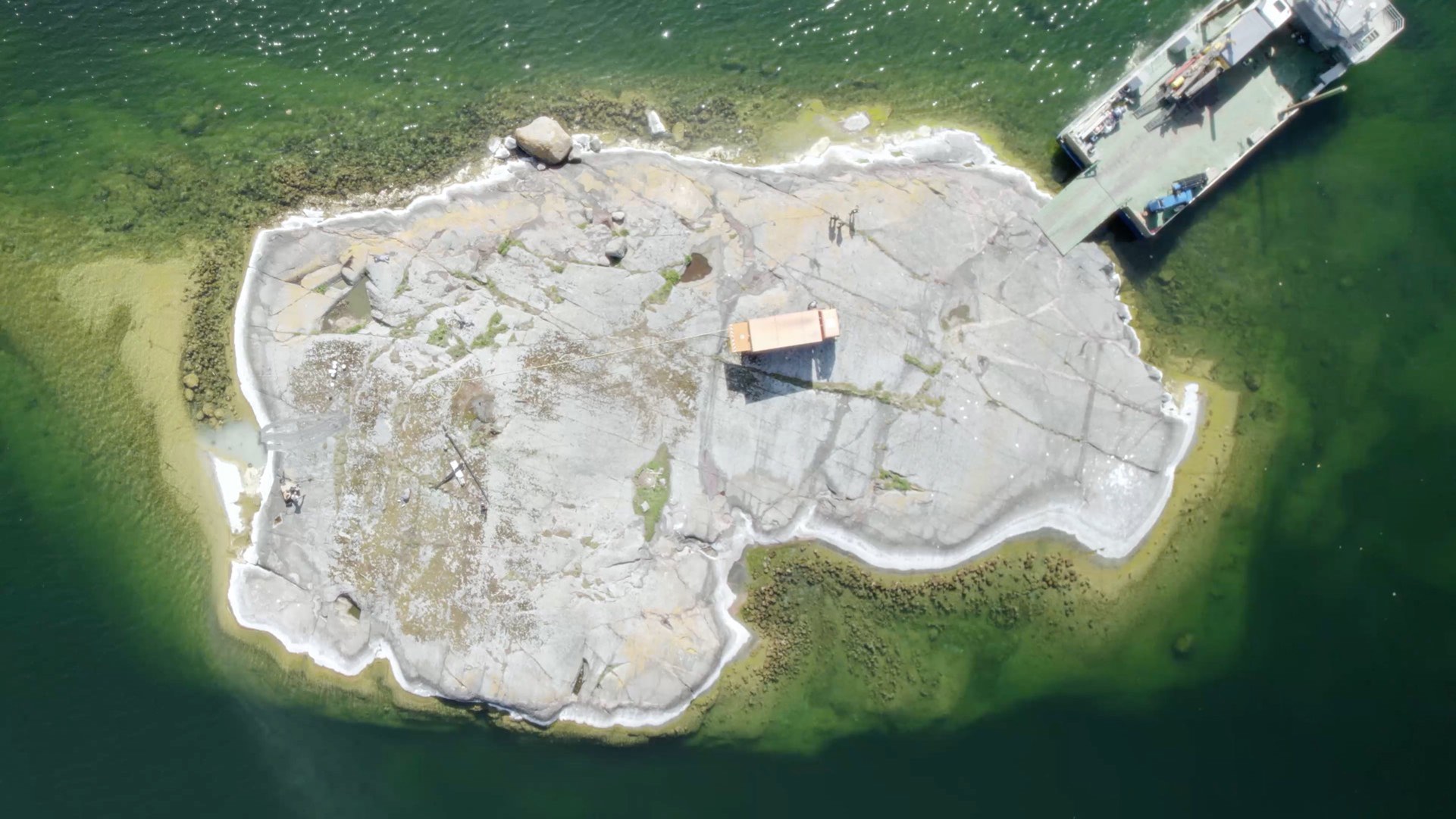 Taide-lehti Taide-lehti