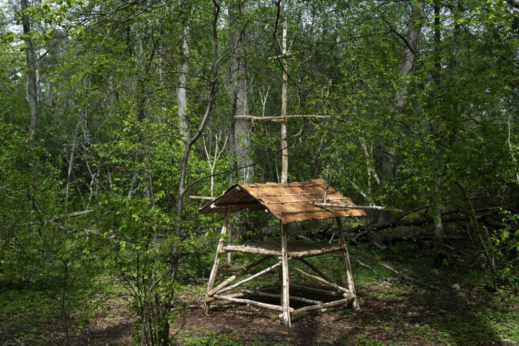 Carola Grahn: Vearalden Olmai, 2023/25. Kuva: HAM / Helsinki Biennaali / Sonja Hyytiäinen