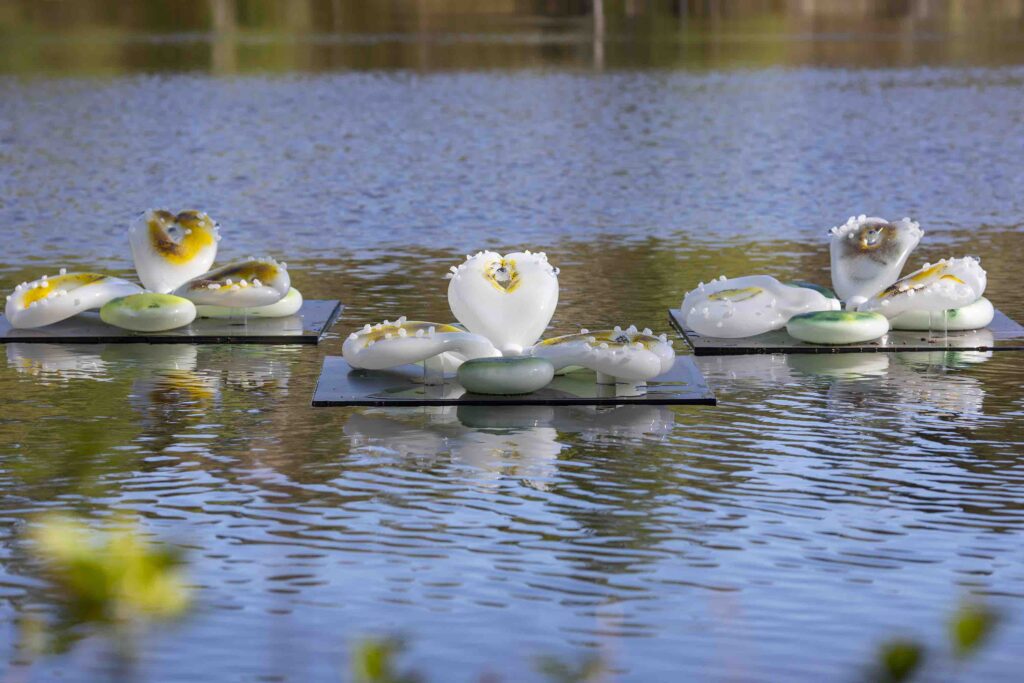 LOCUS / Tanja Thorjussen & Thale Blix Fastvold: Zostera Marinan kasvun laulu, 2025, yksityiskohta. Kuva: HAM / Helsinki Biennaali / Maija Toivanen