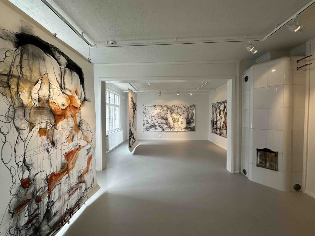 Paula Suomisen näyttely Simpukkatyttö ja muita piirroksia oli RaumArsin galleriassa 5.-7.9. Kuva: Hannele Kolsio.