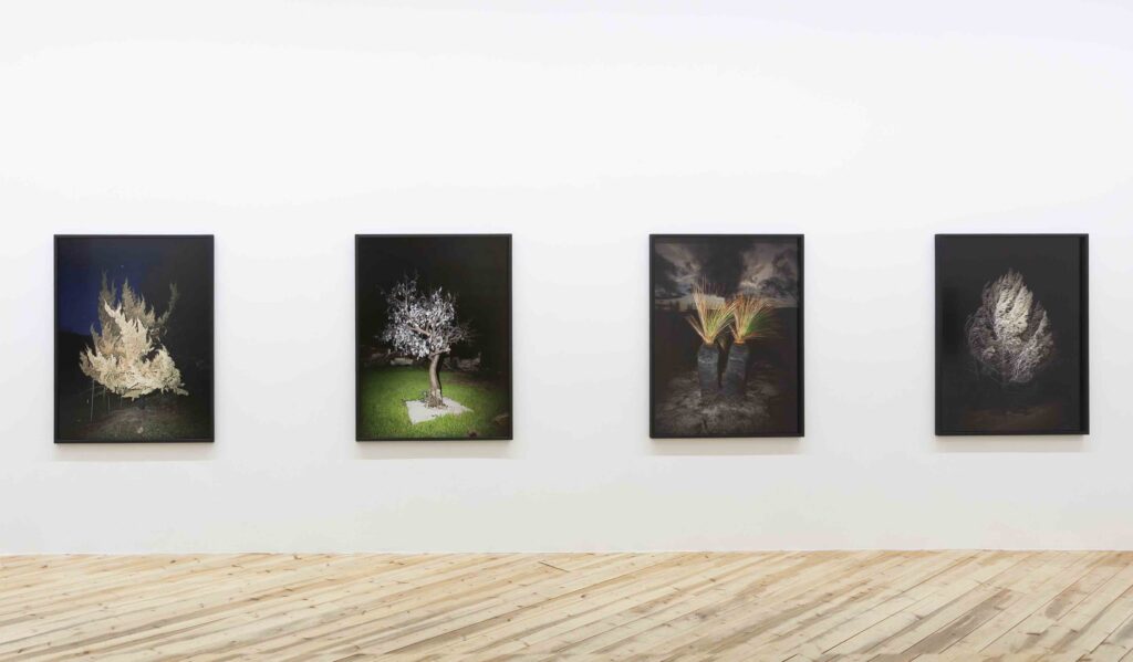 Harri Pälvirannan näyttelystä Tulen indeksi Galleria Heinossa.