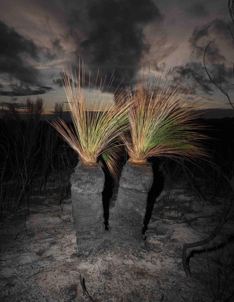 Australia #18, 2024, arkistokelpoinen mustesuihkutuloste, 121 × 94 cm.