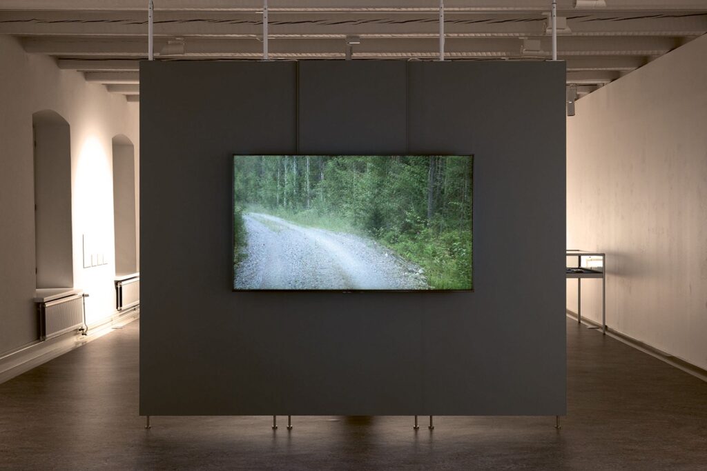 Mikki Noroila, Kultalähe, yksikanavainen video. Vesireitit, Lappeenrannan taidemuseo, 21.2.–10.5. Kuva: Tuure Leppänen/Lappeenrannan museot.